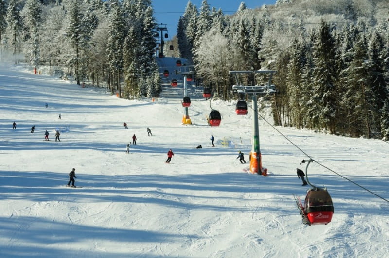 jaworzyna krynicka
